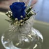 Single blue rose with white accent flowers and silver ribbon in a clear glass vase