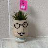 A small planter with air plants for hair.