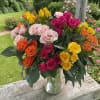 Rainbow Roses is bright, joyful, and full of color. A dozen stems