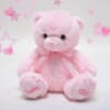 9" Baby GirlTeddy Bear Plushie