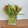 Bouquet of red, yellow, and white tulips in a clear glass vase