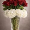 Elegance in every bloom ️

A stunning arrangement of rich red roses paired