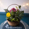 A bright yellow bloom greets the eye in this casual garden-style flower
