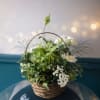 A garden-fresh display of green and ivory blooms, this flower arrangement in
