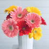 A bright, cheerful arrangement designed to make a statement with clean lines