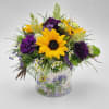 A lovely small arrangement featuring small sunflowers, dark purple carnations and fillers