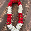 Carnations Lei