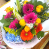 Bright, saturated color greets the recipient with this Spring Mix bouquet -