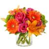Birthday Bash is a sweet arrangement perfect to brighten anyone's day!
This arrangement