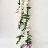 Traditional Maile / Ti Leaf and white Orchid twisted together in an