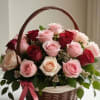 rose 
