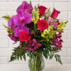 For the orchid lover! Bright and beautiful shades of purples, pinks and