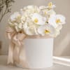 Amelie is a soft, airy floral box designed with a clean and