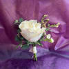 Cream rose boutonniere with small white buds and ribbon on a purple background
