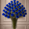 A striking cluster of vivid blue roses takes center stage in this