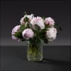 Full, rounded peonies make an immediate romantic impression - a compact peony