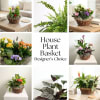 Our House Plant Basket is perfect for all occasions. A collection of