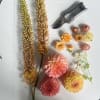 Assorted peach and yellow cut flowers with metal pruning shears on a white surface