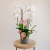 White orchids in a gray vase with pink flowers and a MOM sign