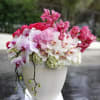 Experience floral sophistication with Dave's Flowers, your trusted local florist, showcasing an