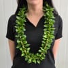 This Graduation Lei is made with long lasting Italian Ruscus Leaves. 

Write