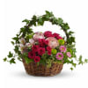 Basket of pink and red roses with mixed flowers and ivy arching over the top