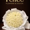 Bouquet of cream roses wrapped in white paper with a ribbon