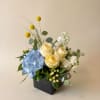 Send one of our exclusive arrangements for Mother's day featuring blues, whites