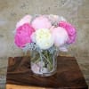 Premium Peonies and Dusty Miller leaves in glass vase with Seashells.