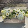 Rectangular wooden box arrangement with white daisies, pale roses, hydrangeas, and yellow tulips