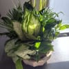 Mixed green houseplants in a white ceramic bowl planter