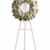 "A ring of fragrant, bright white blossoms will create a serene display