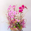 A unique design of orchid- Disclaimer: Photo just represent the overall style