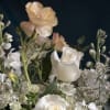 White and cream roses with soft peach blooms arranged against a dark background