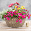 Let our designers create a beautiful seasonal patio pot to beautify your