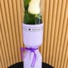 A single upright white rose wrapped in pale lavender paper and tied