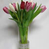 Bouquet of pink, white, and red tulips in a clear glass vase