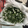 This exquisite bouquet features 100 pure white tulips, meticulously arranged to create