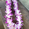 Beautiful two-toned Sonya orchid lei.
