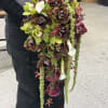 A unique blend of orchids, amaranthus, roses, and mini callas. Modern elegance