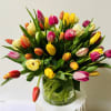 Mixed tulips in a clear glass vase