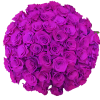 The Luxe Romance - 50 long-stem purple roses, enhanced greenery (eucalyptus, fern)
