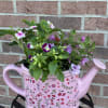 This lovely pink ceramic "watering can" planter is adorned with burgundy, red