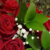 Close-up bouquet of red roses with white baby's breath