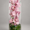 A refined and modern design featuring cascading blush orchids beautifully displayed in