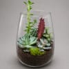 A modern glass vessel featuring a curated mix of succulents arranged with