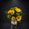 A burst of sunny warmth-Golden Touch is a yellow sunflower arrangement that