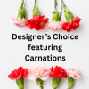 Designer's Choice featuring long lasting carnations. Our designers will create a one