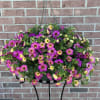 This 10" diameter green resin locally grown hanging basket has a victorian