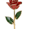 Single red rose with gold-edged petals and green leaves